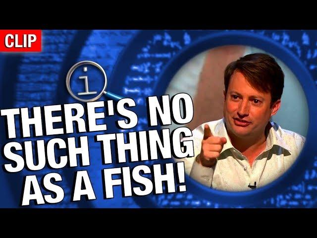 QI | No Such Thing As A Fish