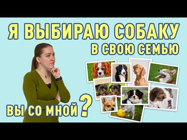 Лайфхак от специалиста по поведению собак. Как выбрать собаку. Собака для семьи с ребенком.