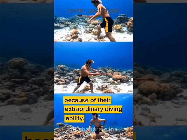 Unbelievable! These People Can Hold Their Breath Like Dolphins ️ #indonesia #people