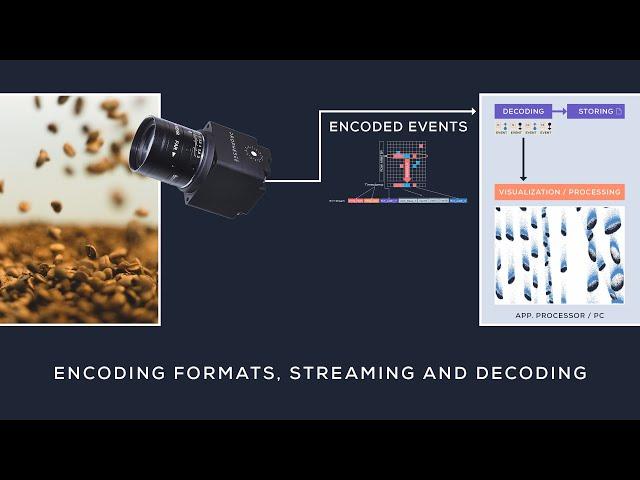 Metavision Training Videos | Encoding Formats, Streaming and Decoding