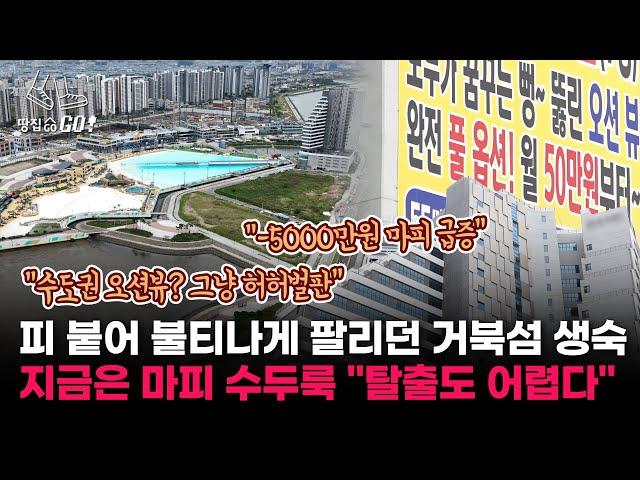 사람은 없고 생숙만 잔뜩…투기 자금 몰렸던 시화MTV의 현재 "-5000만원 마피 속출"