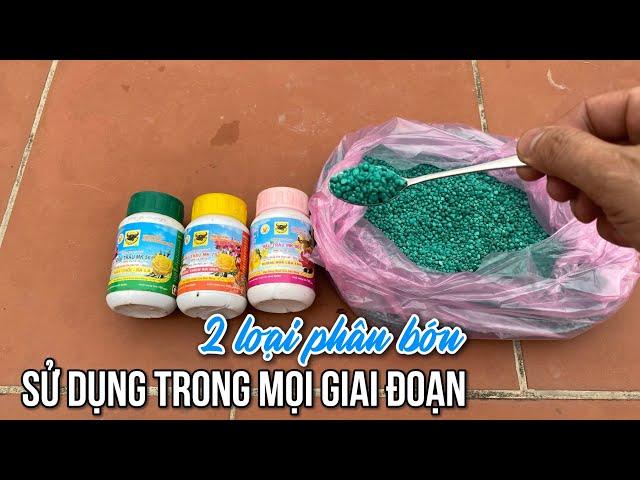 2 Loại phân bón sử dụng trong mọi giai đoạn của hoa cây cảnh