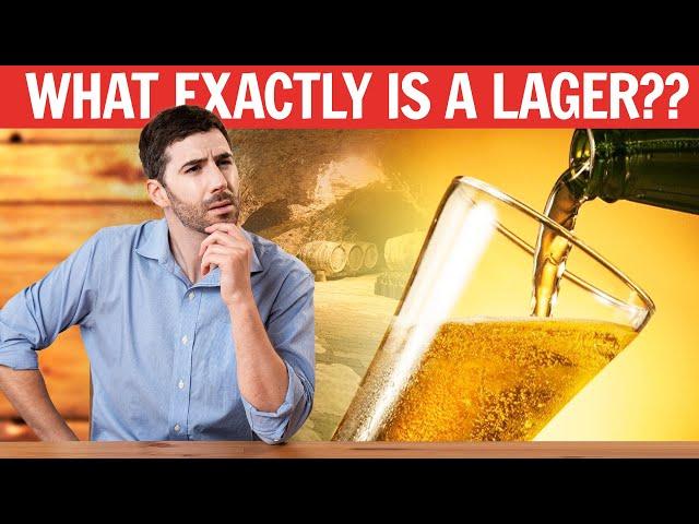 Every Type of Lager Beer Explained | On Tap