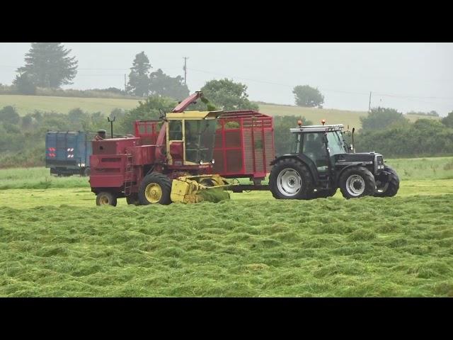 Classic Silage Harvesting at Ahiohill Vintage