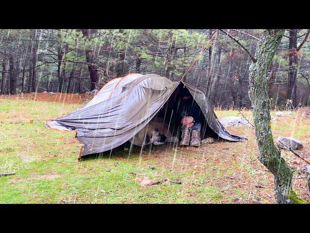 Caught in Rainstorm With My Dog! • 2 Days Rain Camping in the Forest - Camping in Heavy Rain