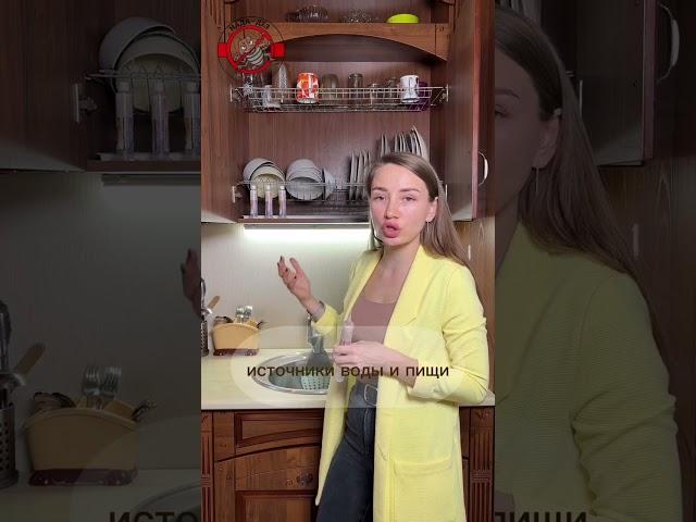 Как правильно использовать самое эффективное средство от тараканов?
