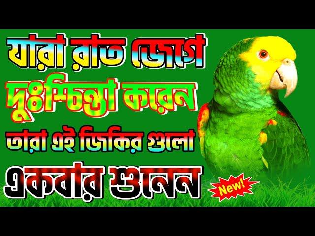 মায়াবী সুমধুর কন্ঠের ৮ টি জিকির   Best New Islamic Zikir  New Top Selected Jikir  #জিকির #jikir