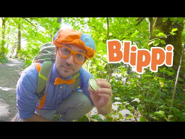 Blippi Goes Hiking | Environmental Learning For Kids | Educational Videos For Toddlers