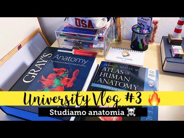 FRANCESCA VS. IL CRANIO ️|| University Vlog #3 || Call Me Aliens 