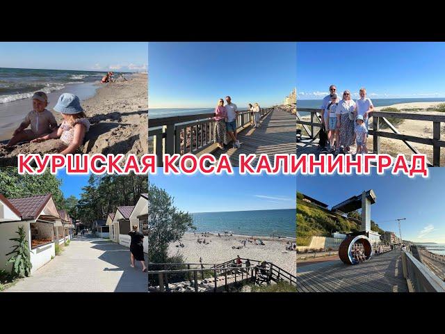 VLOG: СВЕТЛОГОРСК/ КУРШСКАЯ КОСА-ДЮНЫ/ Танцующий лес КАЛИНИНГРАД