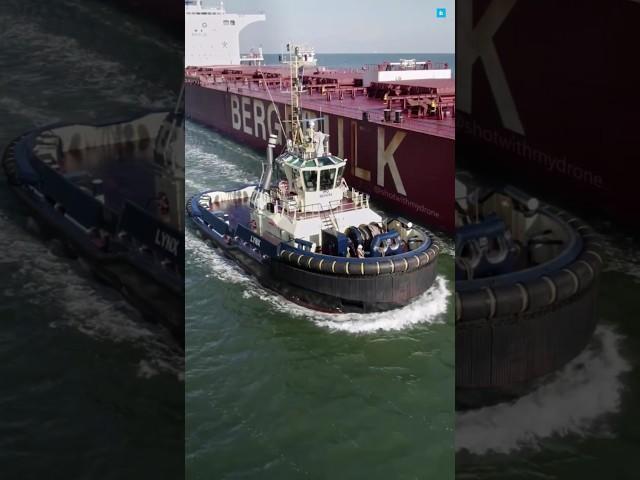 How Tiny Tugboats Turn Giant Ships Like Toys! #facts #ytshorts #trending