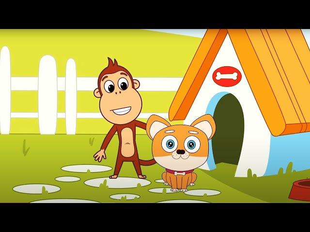 Kukuli Animal Song - Kukuli English Children's Songs