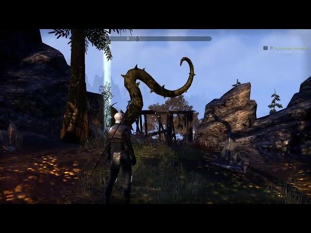 Как получить максимально все Очки Навыков в The Elder Scrolls Online ( TES , ESO , ТЕС онлайн , ТЕС)