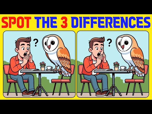 Spot the Difference | Brain training 《A Little Difficult》