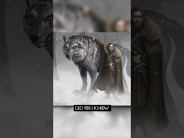 Why Robb Stark's Direwolf Died Like A Champion In The Books 