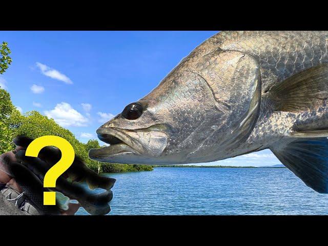 3 Barra Lures I Can't Live Without (in Hinchinbrook)