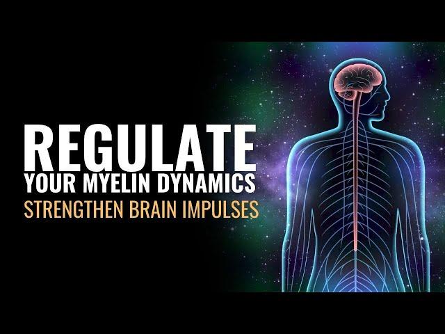 Multiple Sclerosis | Regulate Your Myelin Dynamics | Strengthen Brain Impulses | Heal Spinal Nerves