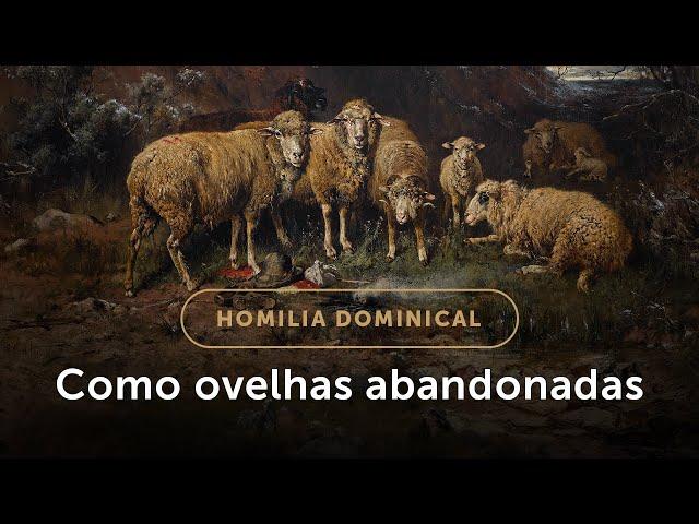 Homilia Dominical | A esperança das ovelhas abandonadas (16.º Domingo do Tempo Comum)