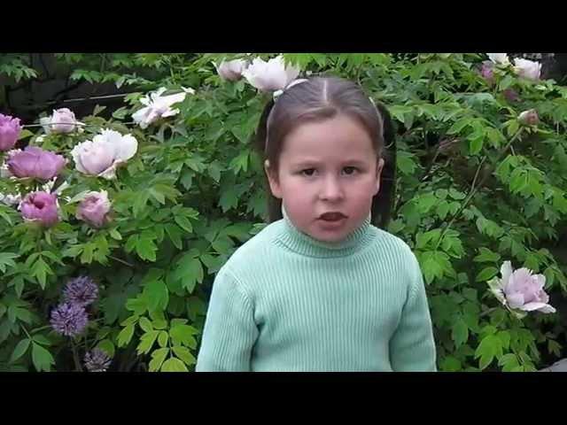 КО ДНЮ ПОБЕДЫ!!!