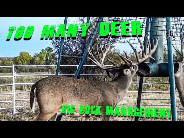 Monster Buck Game Survey on The Mendota Ranch