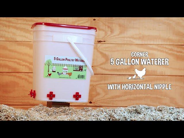 RentACoop 5 Gallon Chicken Waterer - 4 Horizontal Side Mount Poultry Nipples (Corner)