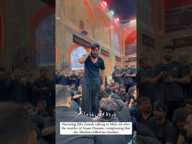 Mir Hassan Mir Noha at Najaf #azadarinetwork #mirhassanmir #najaf #karbala #livefromkarbala #azadari