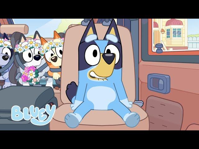 Diversão em Viagens com Bluey e Bingo ️ | Bluey Português Brasil Canal Oficial