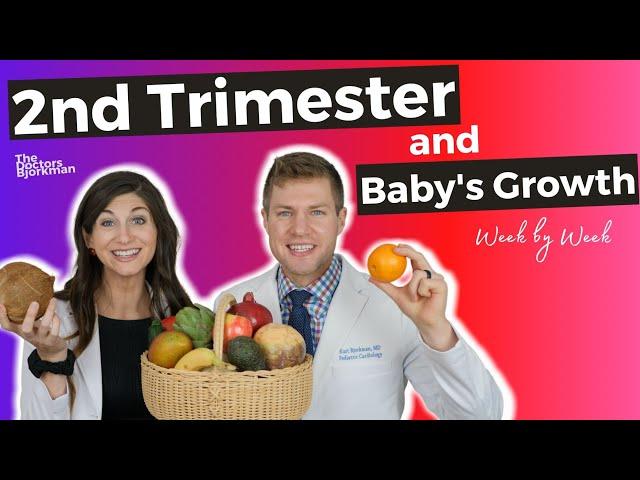 Baby's Second Trimester Growth & The Anatomy Scan