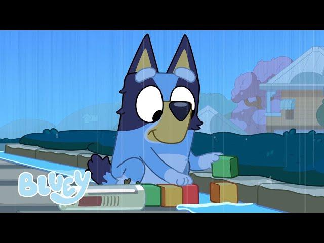 Giocare sotto la Pioggia con Bluey ️ | Bluey Italiano Canale Ufficiale