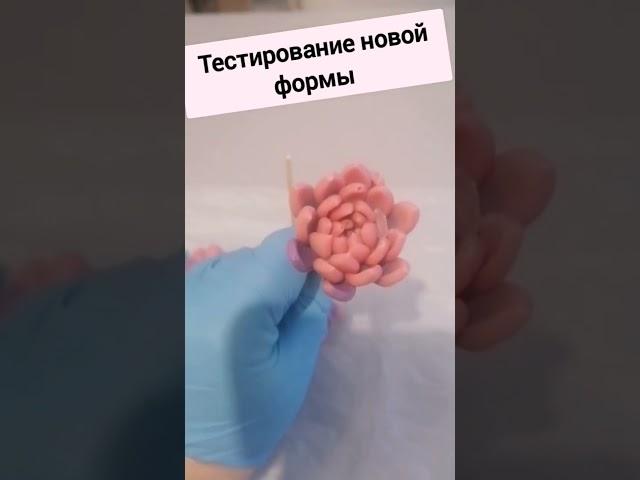 проба новой формы для шоколадных цветов #бизнес #бизнеснапоказ #пробизнес #покровскаяанна