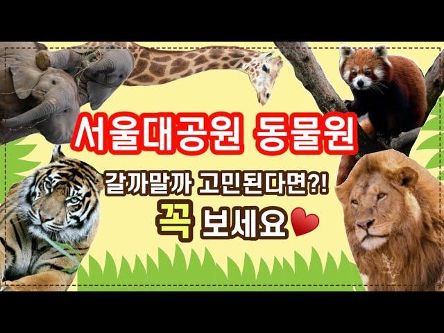 서울대공원 동물원(Seoul grand park Zoo) 리뉴얼되고 진짜 좋아졌어요! 꼭 가보실거죠??