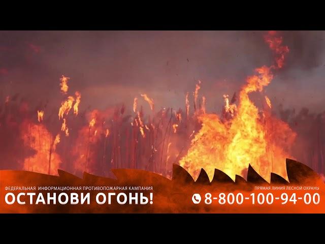 Причины лесных пожаров
