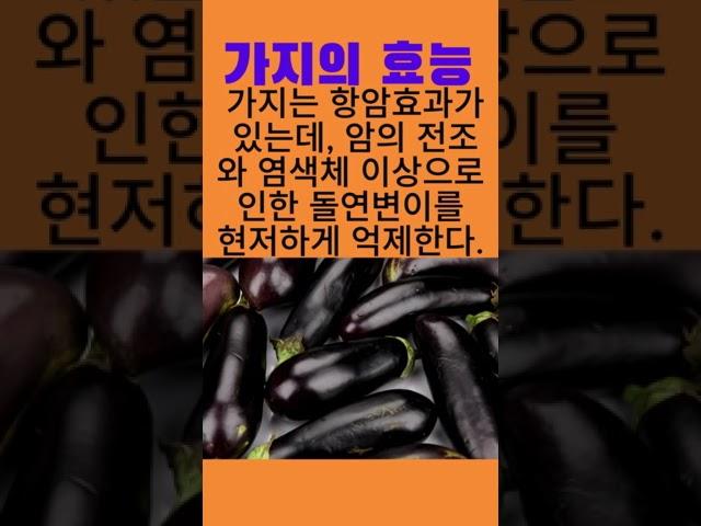 가지의 효능 #건강정보 #100세건강 #건강식품