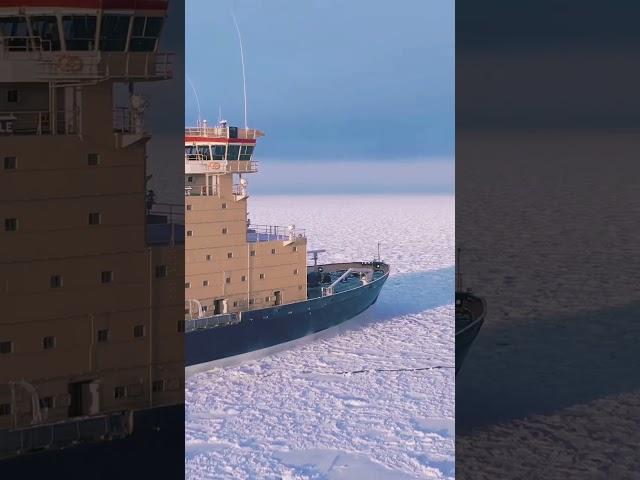 Fleet of icebreakers in the frozen ocean