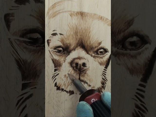 Wood Burning a Pet Portrait