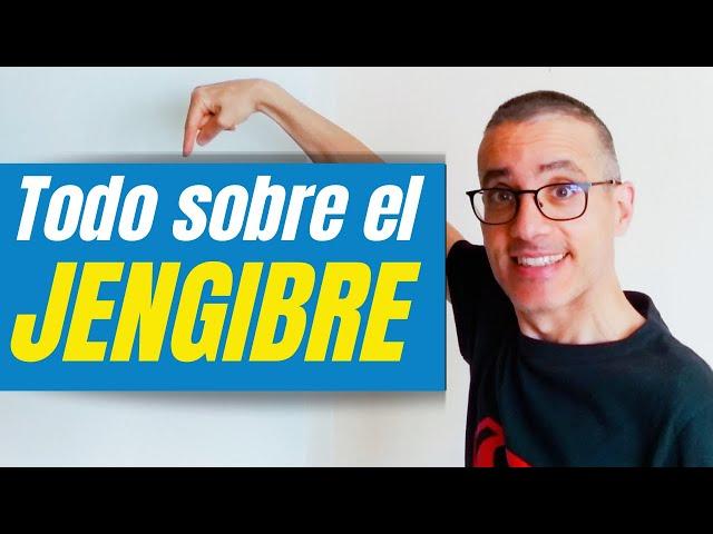 JENGIBRE para qué sirve y cómo se toma. Propiedades y beneficios del Jengibre