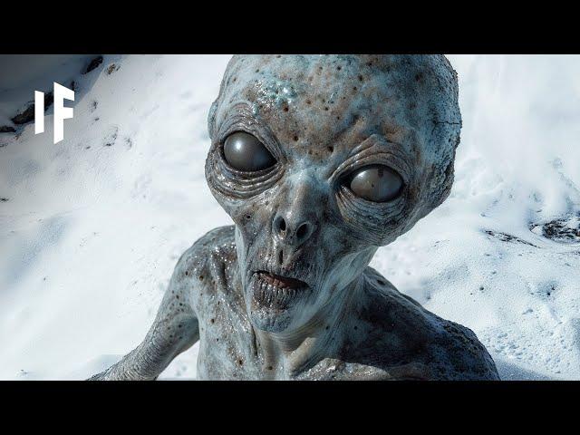 Are Scientists About to Discover Alien Life in 2024?