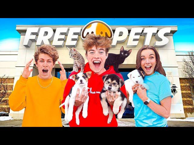 OPENED A FREE PET STORE!!