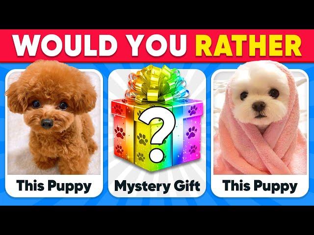 Would You Rather...? MYSTERY Gift  ANIMALS Edition