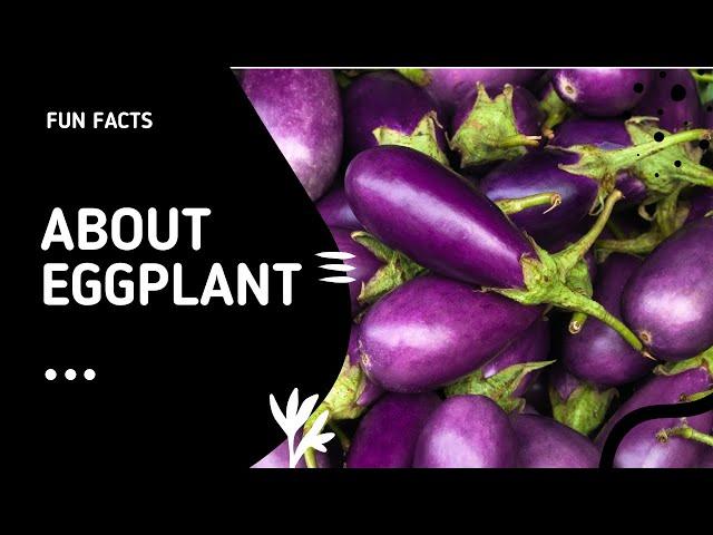 Fun Facts about Eggplants  (Free Smoothie Recipe) #shorts