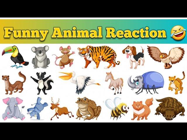 Animal Funny Voiceover #shorts #viral #trending #pataniyaboy#voiceover