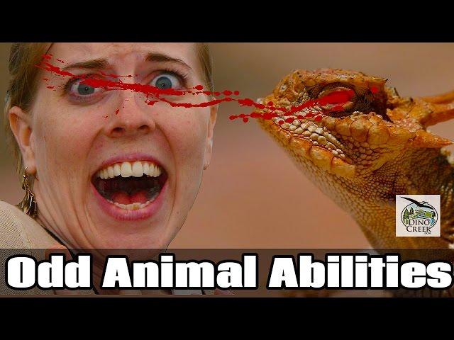 5 Odd Animal Abilities