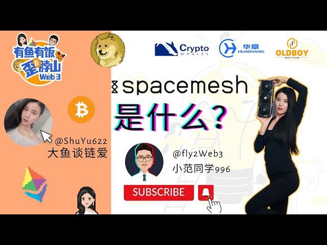 [第1集] Spacemesh SMH是什么？#spacemesh #SMH #POW #web3 #大鱼谈链爱 #小范同学996 #有鱼有饭 #显卡