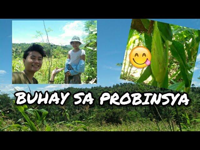 SA AMING PROBINSYA