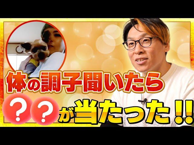 【動物とお話】犬に体調聞いてみた