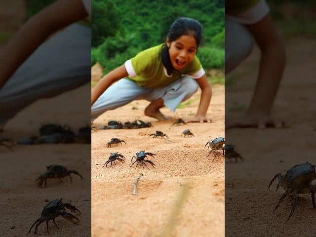 The girl found a lot of crabs  #camping #survival #outdoors #lifehack