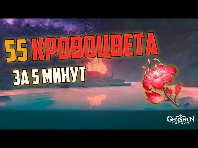 КРОВОЦВЕТ 55 Штук за 5 минут | Быстро и Эффективно | в Геншин Импакт 2.0