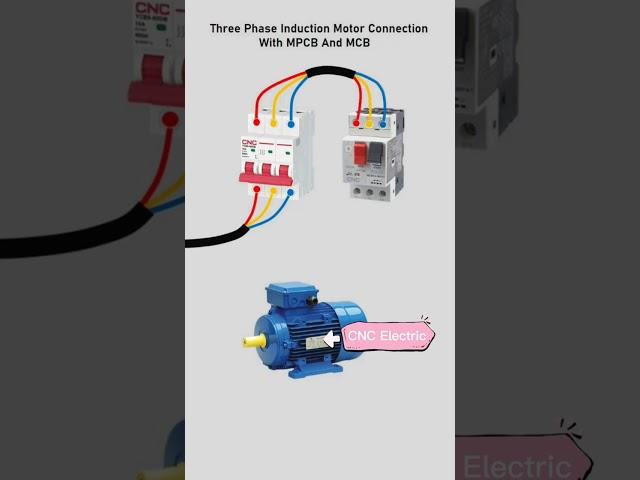 3 Phase Motor Connection with MPCB and MCB by CNC Electric@CNCElectric1988
