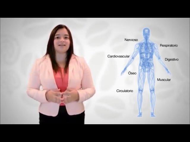 Ganoderma Lucidum de Gano Excel