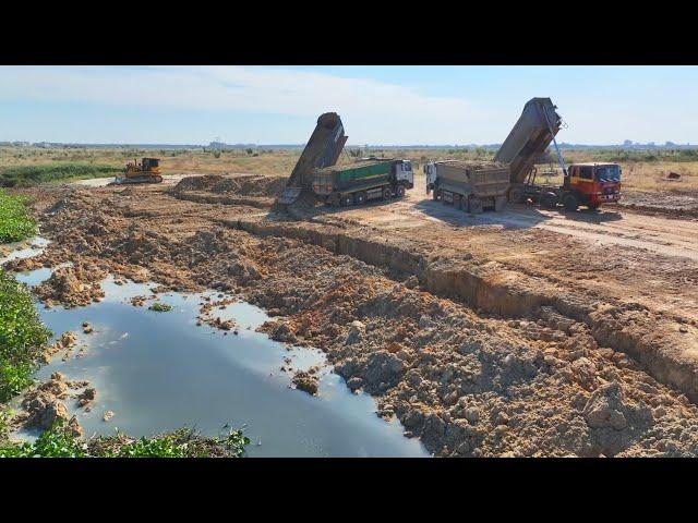 DumpTruck TRAGO HYUNDAI Transport Soil And Bulldozer SHANTUI Push Soil In Water